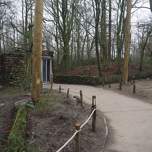Renovated European aviary with new poles and now more open after removal of vegetation, 2024-12-29