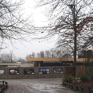 New entrance construction site, 2024-12-29