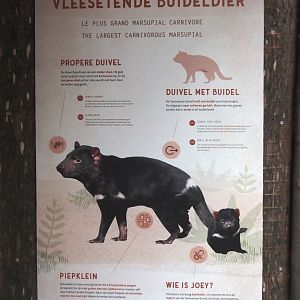 New Tasmanian devil signage, 2024-12-29
