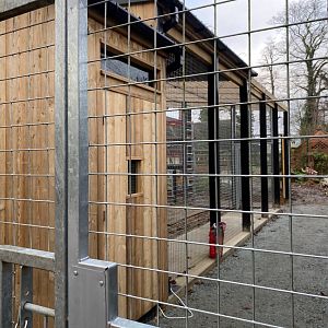 Tiger enclosure new housing and outside run, Thrigby Hall, UK