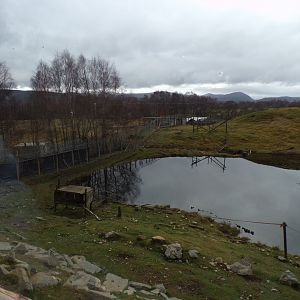 Japanese macaque enclosure 5.4.24