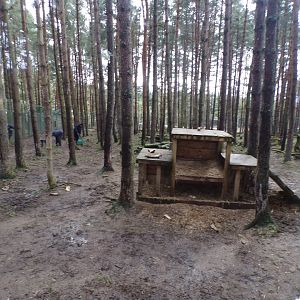 Eurasian wolf enclosure 5.4.24