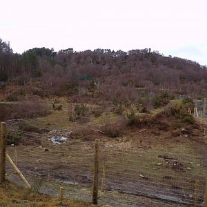 Female polar bear (and Brodie’s) enclosure 5.4.24