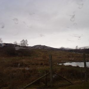 Male polar bear enclosure 5.4.24