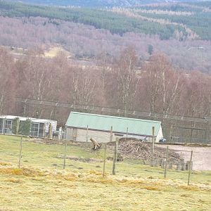 View of tiger house from polar bear enclosure 5.4.24