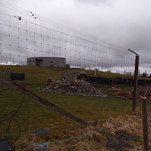 Himalayan tahr enclosure 5.4.24