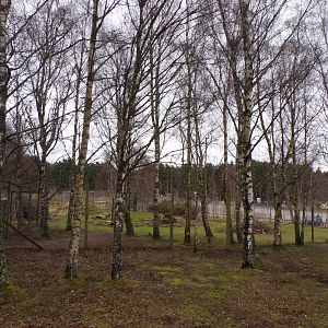 Former markhor enclosure 5.4.24