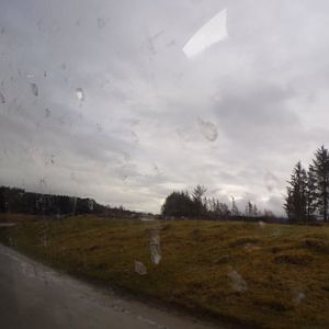 Red deer, European bison and Prezwalski’s horse reserve 5.4.24