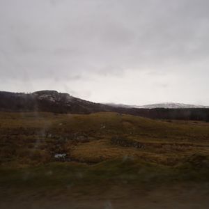 Red deer, European bison and Prezwalski’s horse reserve 5.4.24