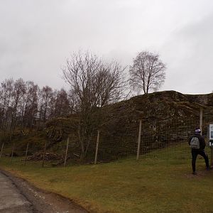 Markhor enclosure 5.4.24