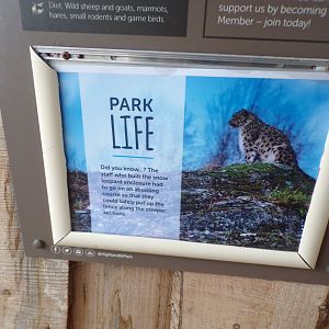 Snow leopard sign 5.4.24