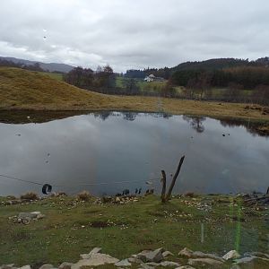 Japanese macaque enclosure 5.4.24