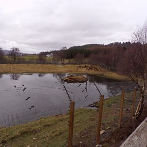 Japanese macaque enclosure 5.4.24