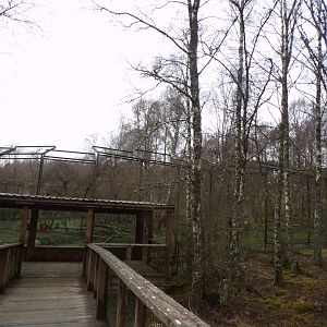 View of amur tiger enclosure 5.4.24