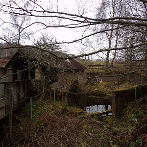 Former otter enclosure 5.4.24