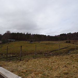 White-lipped deer enclosure 5.4.24