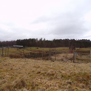 White-lipped deer enclosure 5.4.24