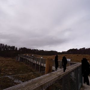 View of boardwalk to female polar bear enclosure 5.4.24