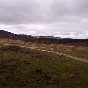 Red deer, European bison and Prezwalski’s horse reserve 5.4.24