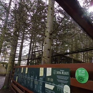 View of Scottish wildcat overhead tunnels 5.4.24