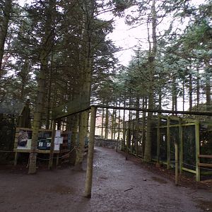 View of Scottish wildcat overhead tunnels 5.4.24