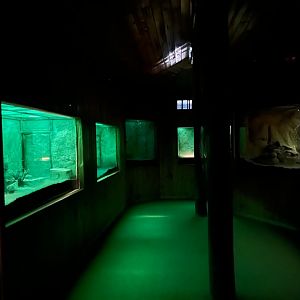 Las Chinchillas National Reserve Nocturama