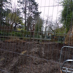 New red river hog enclosure construction 9.4.24