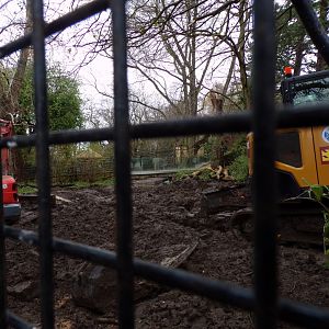 New red river hog enclosure construction 9.4.24