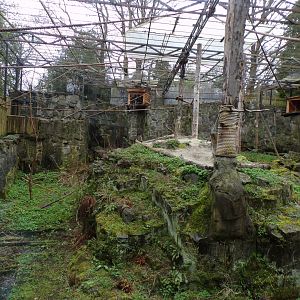 Japanese macaque enclosure 9.4.24