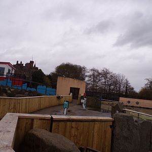 Refurbished penguin enclosure 9.4.24