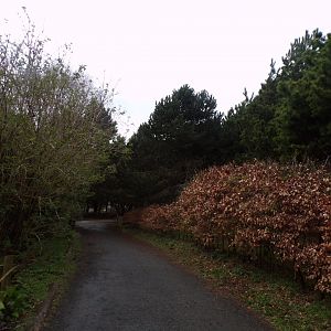 View along giant anteater enclosure 9.4.24