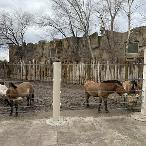 West Yard - High Desert Oasis