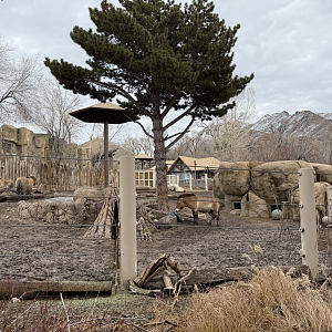 West Yard - High Desert Oasis