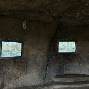 Kopje Viewing - West Yard - High Desert Oasis