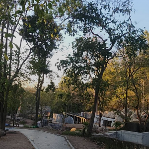 90% of the mountain animal exhibition will open in January 2025.