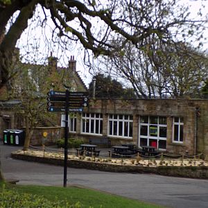 Redone Grasslands restaurant 9.4.24