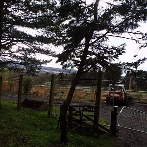 Section of giraffe enclosure closed off 9.4.24