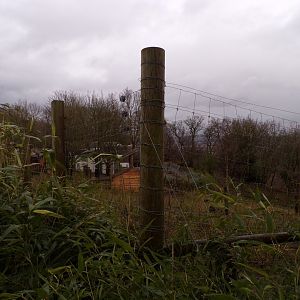 Markhor enclosure (former giant panda) 9.4.24