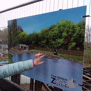 Sign for new black bear enclosure 12.4.24