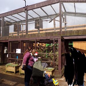 View of the castle zoo 12.4.24