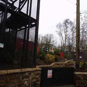 View from the fossa enclosure 12.4.24