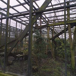 Scottish wildcat enclosure 12.4.24