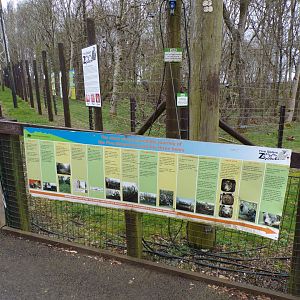 Brown bears at the zoo timeline 12.4.24