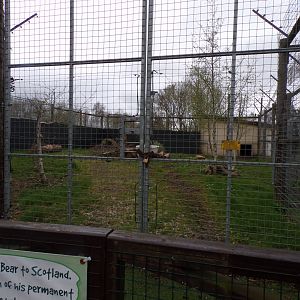 Yampil’s temporary enclosure 12.4.24