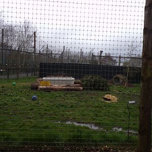 Yampil’s temporary enclosure 12.4.24