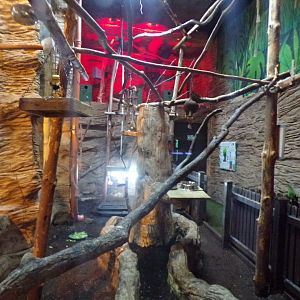 Mixed species enclosure 12.4.24