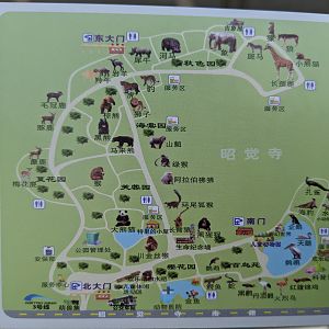 Chengdu Zoo map on back of ticket