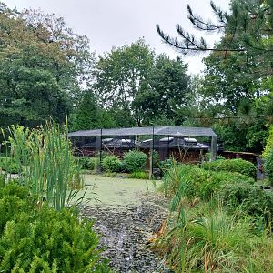 Callitrichidae House