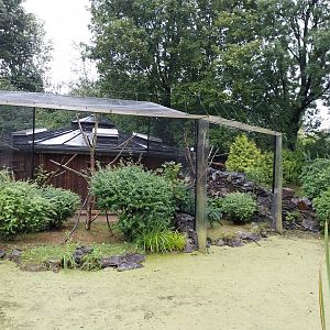 Callitrichidae House - Cotton-top tamarin enclosures