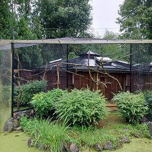 Callitrichidae House - Golden-handed tamarin enclosure